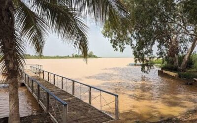 Hydrologie : le niveau du fleuve Sénégal en baisse à Richard-Toll