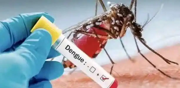 Dakar : 57 cas de dengue recensés à Pikine, les services d’hygiène à pied d’œuvre