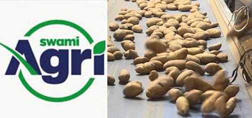 Tabaski : »Swami Agri » assure 80.000 tonnes et rassure les sénégalais »