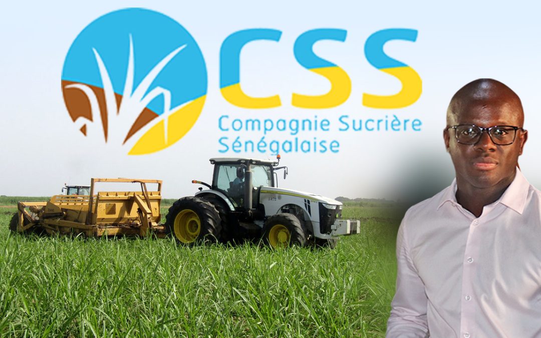 Richard-Toll: Vers la canne villageoise