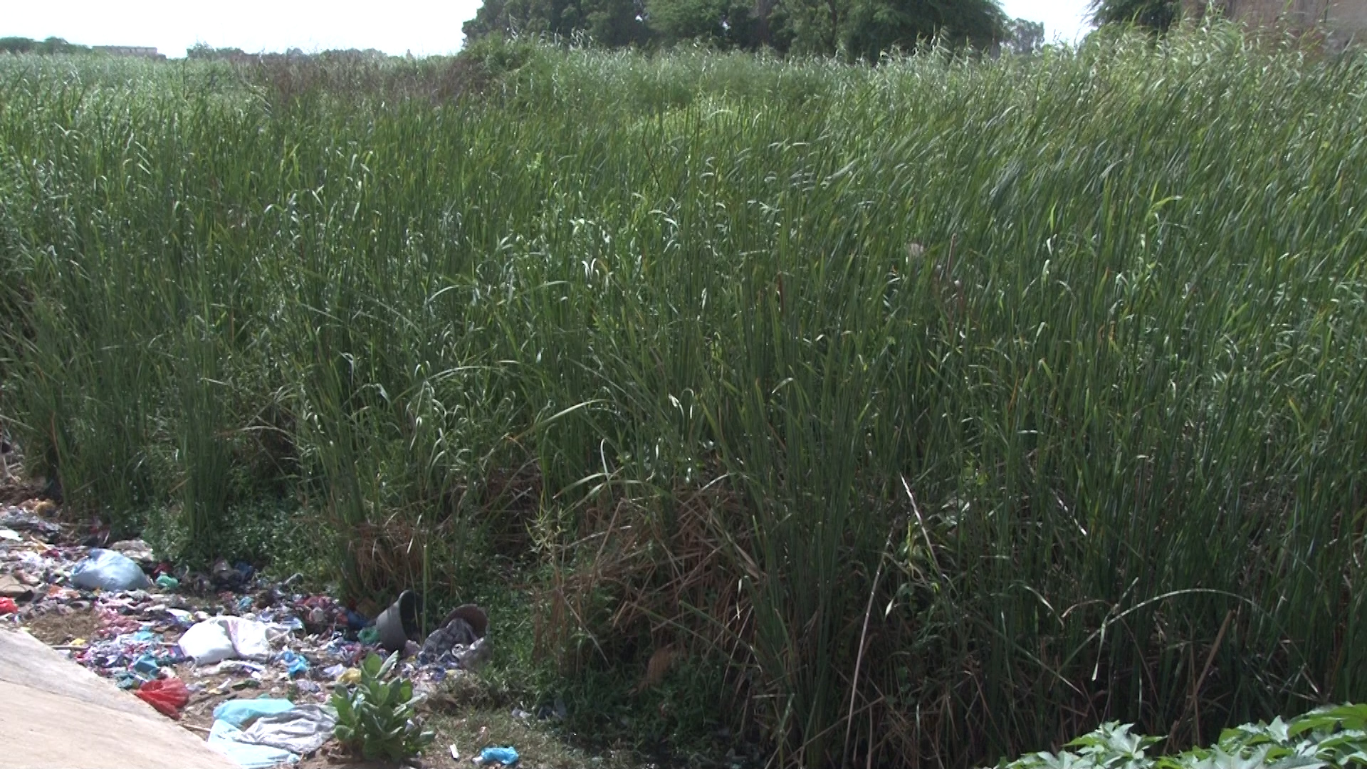 03650.MTS.00_00_03_17.Still001