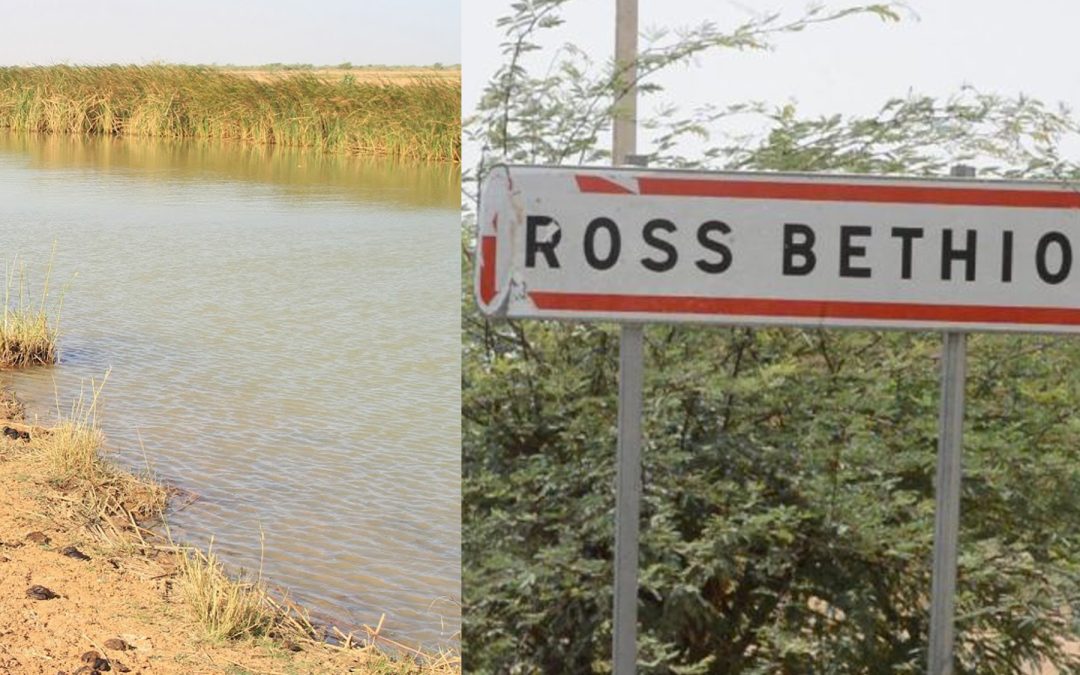 Drame à Ross Béthio : Un talibé de 11 ans retrouvé mort dans un canal d’irrigation