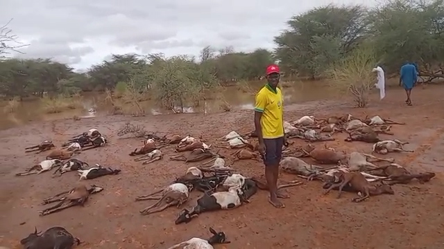 Fanaye Diery : une violente intempérie décime des troupeaux et détruit des habitations