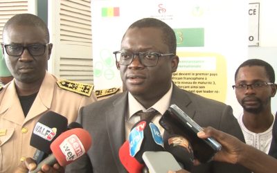 Saint-Louis : L’ARP ouvre une antenne régionale pour intensifier la lutte contre les faux médicaments