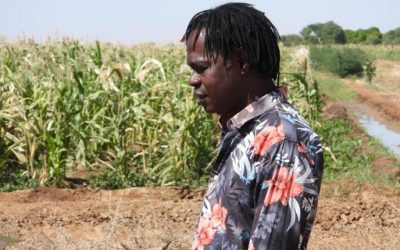 PODOR – 17ᵉ FESTIVAL DES BLUES DU FLEUVE : Baaba Maal mobilise pour l’édition du 5 au 7 décembre