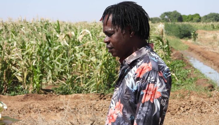 PODOR – 17ᵉ FESTIVAL DES BLUES DU FLEUVE : Baaba Maal mobilise pour l’édition du 5 au 7 décembre