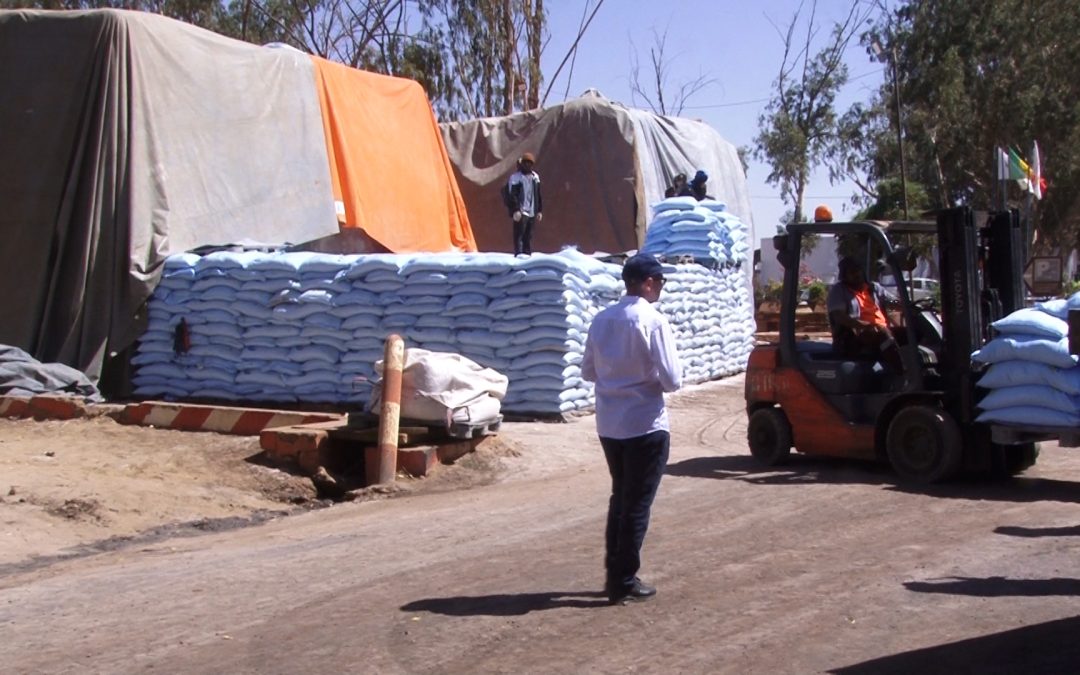 Ramadan : la CSS rassure sur les stocks de sucre et l’approvisionnement du marché