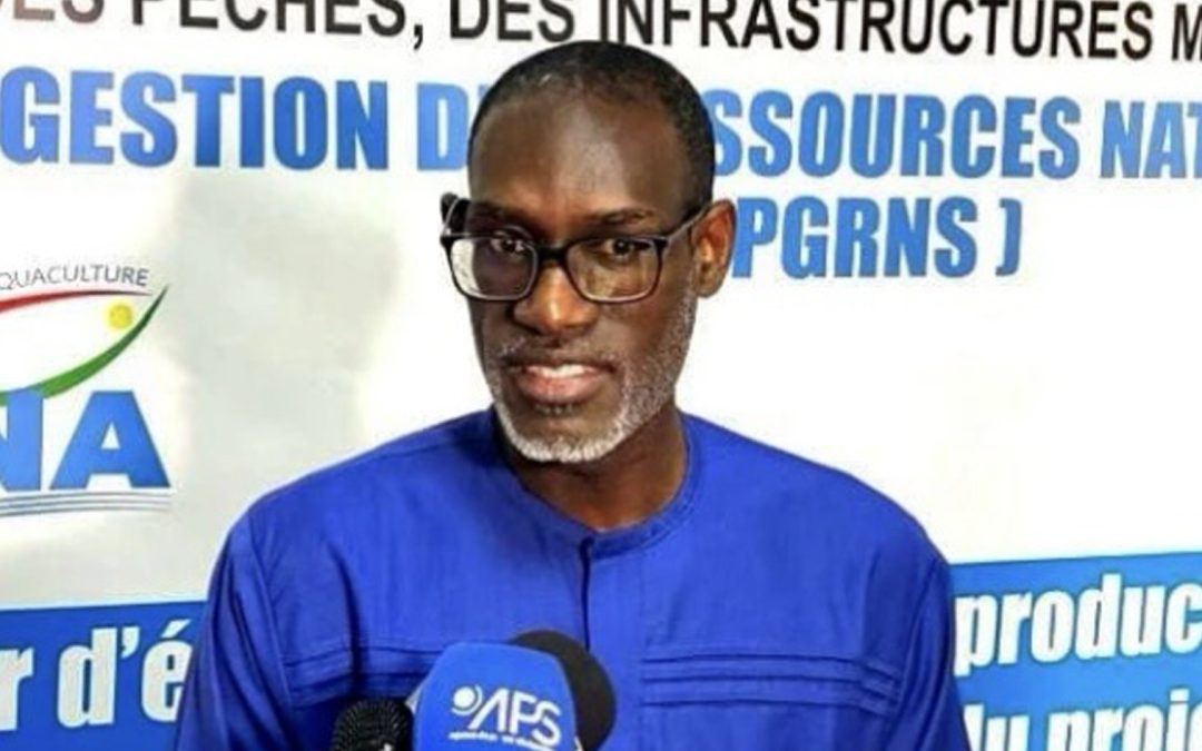 Aquaculture : le Sénégal relance l’usine de Bokhol pour faire baisser les coûts de production