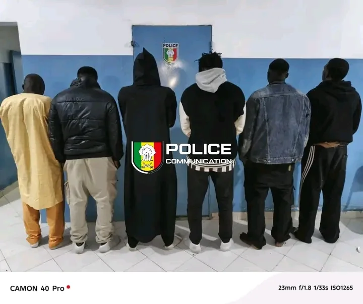 Pikine (Saint-Louis) : six individus arrêtés après le démantèlement d’un site d’abattage clandestin au foirail