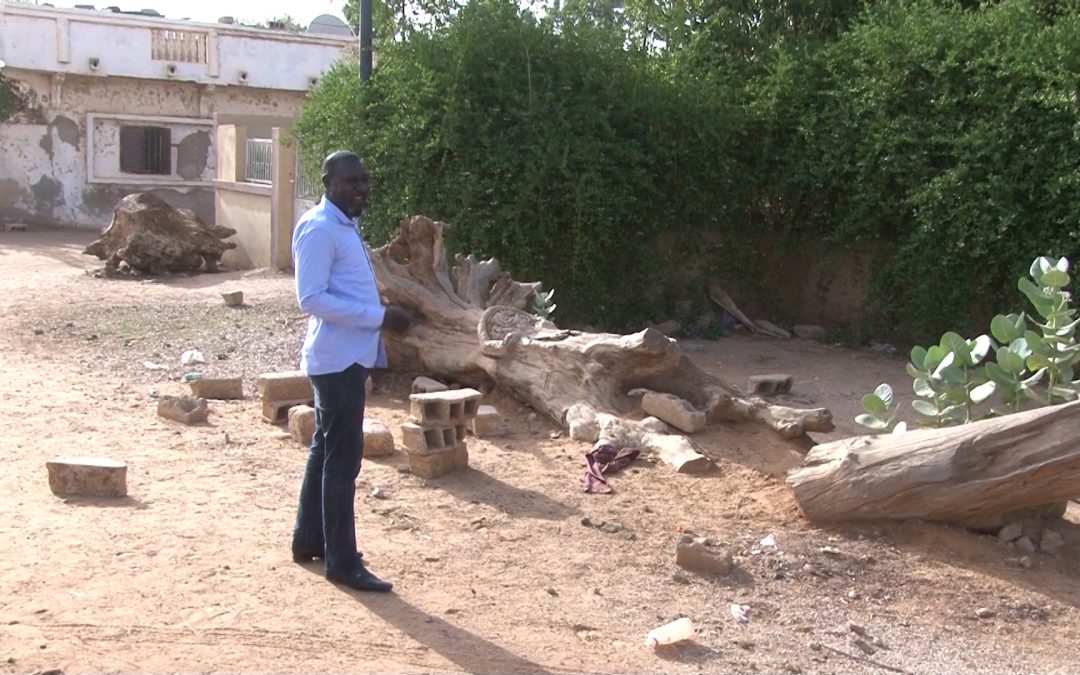 Ndombo Sandjiry : le conseil municipal attend les orientations de l&rsquo;État après la décision de la Cour suprême