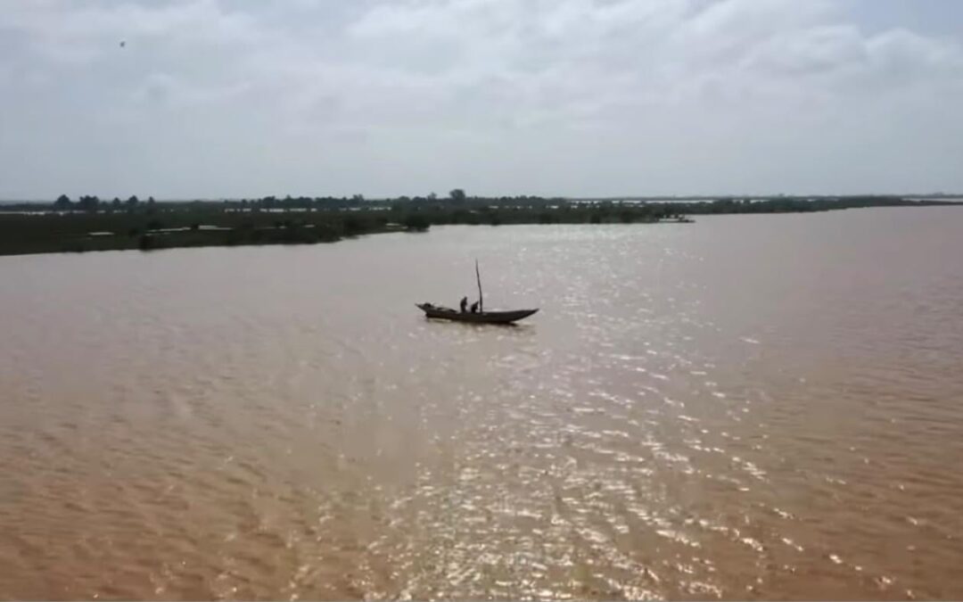 Podor : le fleuve Sénégal monte encore et se rapproche du seuil d’alerte