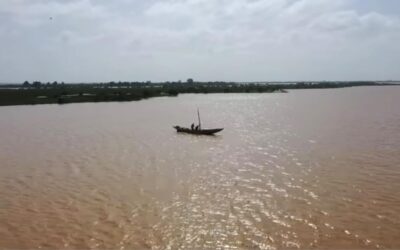 Podor : le fleuve Sénégal monte encore et se rapproche du seuil d’alerte